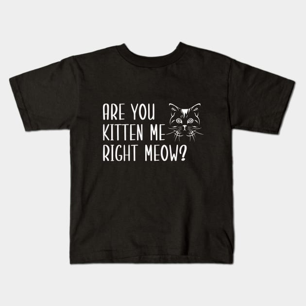 Are You Kitten Me Right Meow Kids T-Shirt by Health